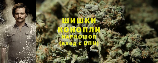 PSILOCYBIN Алексин