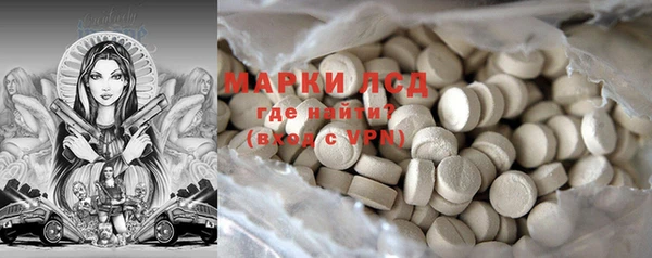 стаф Алзамай