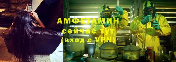 стаф Алзамай